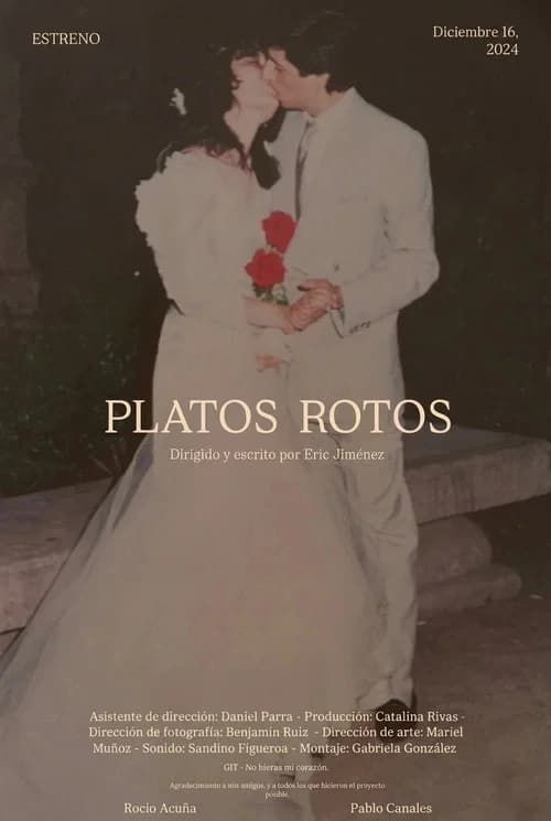 Platos Rotos
