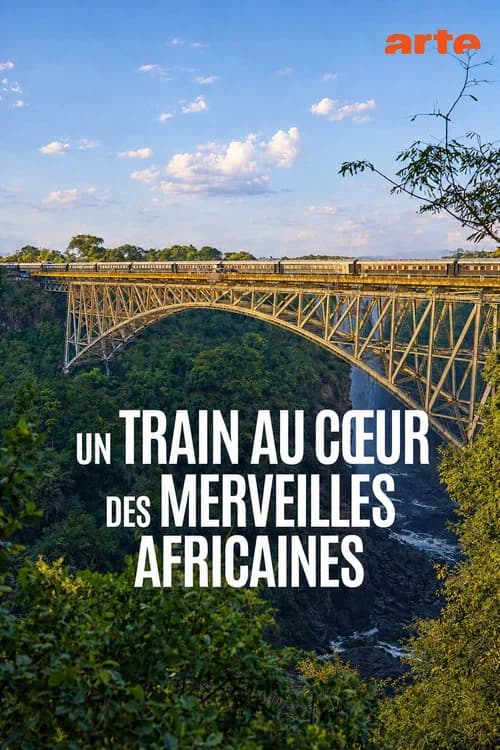 Un train au cœur des merveilles africaines : De Dar es Salam aux chutes Victoria