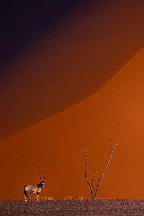 Namibie : exceptionnelle par nature